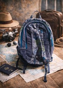 Wildcraft Backpack