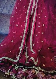 Beautiful Lehenga for Sale!