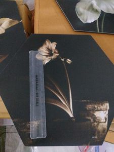 New Floral Wall Decor (Set of 3)