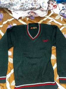 Green V-Neck Sweater