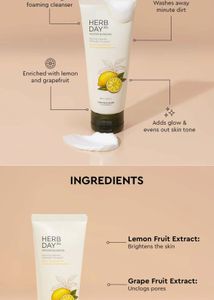 Herb Day 365 Foaming Cleanser Lemon &amp; Grapefruit
