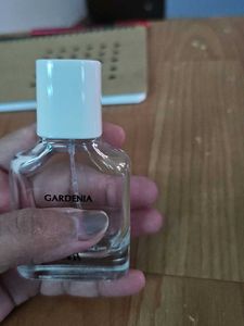 Zara GARDENIA 5ML Decant