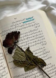 Peer-e-Kamil Novel