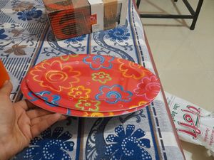 Oval Shape Serving Plates ( 2 Pieces)