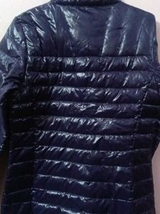 Down One Padded Jacket