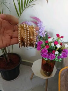New Gold Finish Bangles