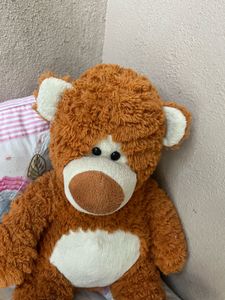 Teddy Bear Toy