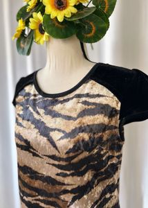 Korean Velvet Dress
