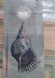 Maldives Note