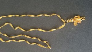Golden Chain - With Bihari Ji.