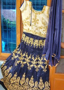 Elegant Lehenga Choli