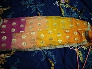 Elegant Ethnic Saree
