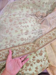 Pista Color Lehnga Choli