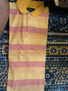 Striped Colorplus Shirt