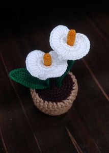 Crochet Calla Lily Plant