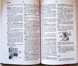 Oxford Essential English-Hindi Dictionary