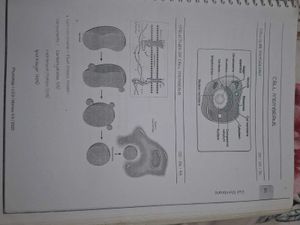 Physiology NEET PG Notes