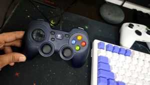 Logitech F310 Wired Gamepad (Almost New)