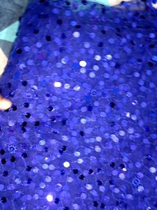 Blue Sequined Fabric Saree
