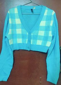 H&M Brand Blue Checkered Cardigan