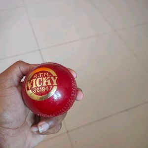 RTM Cricket Ball