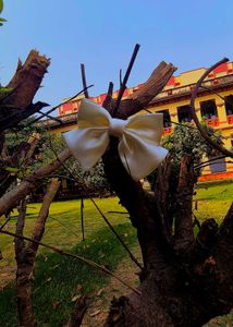 Princess Bow