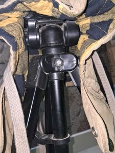 SHANE Hats &amp; Caps💛