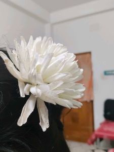 Pearl Hair Accessory