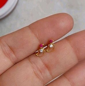 Beautiful New Parrot Desine Studs
