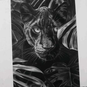 Handmade Drawing  Of Wildlife Leapord.