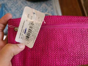 Brand New Baggit Clutch