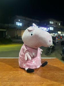 Ty Peppa Pig in Floral Dress