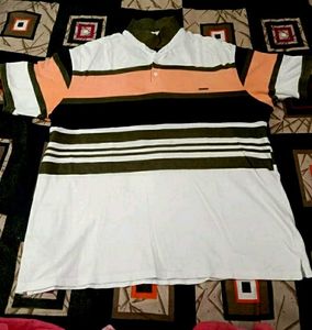 Striped Polo Shirt