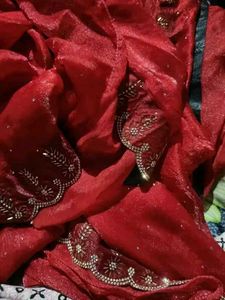 Elegant Red Saree with Embellishments