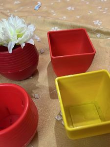 Plastic Vase Like Cups To Use Flowers And Plants