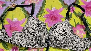 Leopard Pushup BRA👙👙