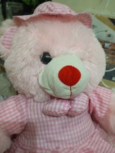 Pink Teddy Bear For Kids