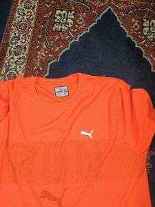 Gym Branded Tshart Never Used
