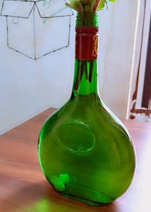 Combo Of Bottle Art Decor