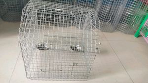 Parrots Cage (Pijara)