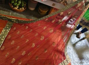 Elegant Orange Saree