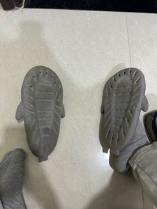 Grey Shark Slides