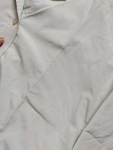 ❗ CLEARANCE ❗ Unisex Mint Green Formal Shirt