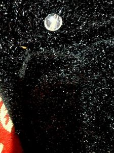 Sparkling Black Button-Up Sweater