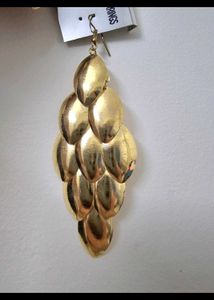 Brand New Earrings