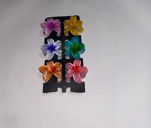 MINI CLAW CLIPS (pack Of 6)