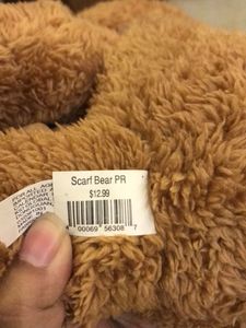 Cute Brown Teddy Bear with Blue Scarf