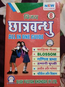 Class 8 All in One Guide