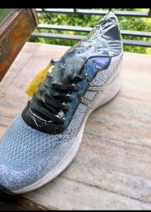 Asics Running Shoes