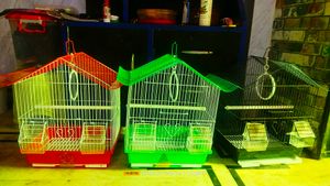Folding Cage Pijara
